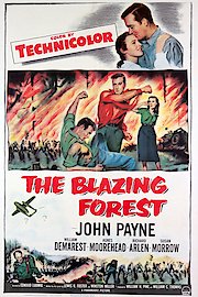 The Blazing Forest