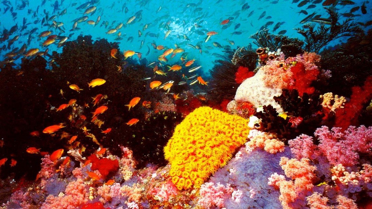 Must See Places: Wildlife Treasures
