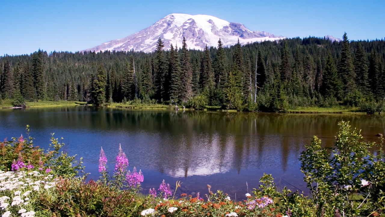 Destination Washington