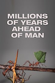 Millions of Years Ahead of Man