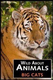 Wild About Animals: Big Cats