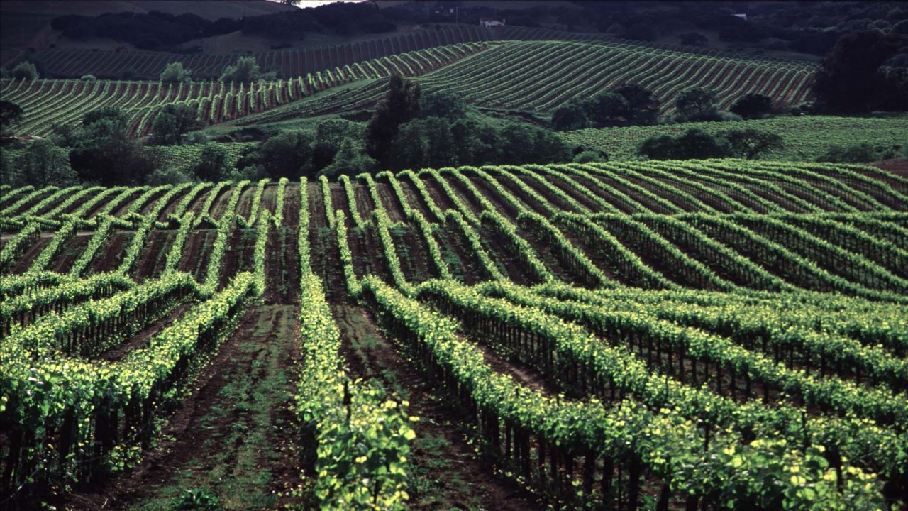 Culinary Travels Seductive Sonoma