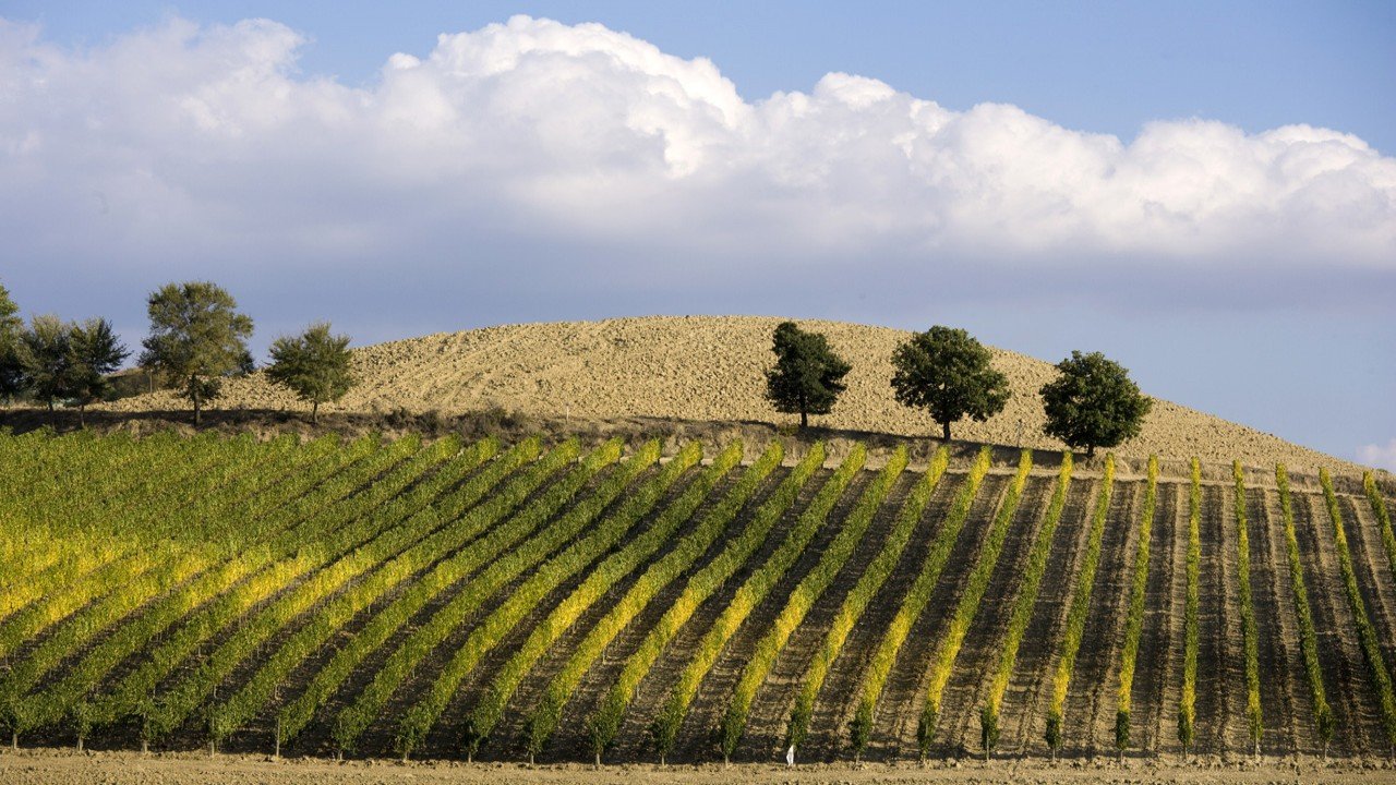 Culinary Travels Italy-Umbria, Tuscany, and the Veneto