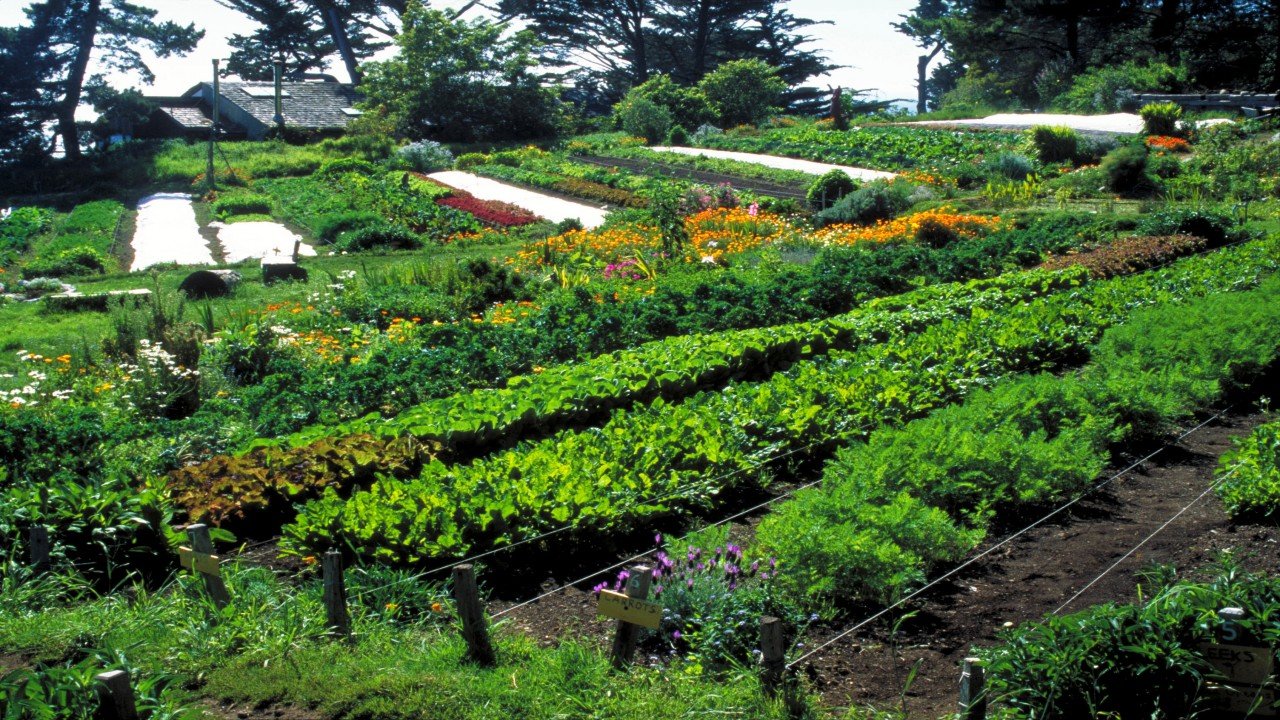 Garden Travels: Farm to Table and Future Sustainable Garden