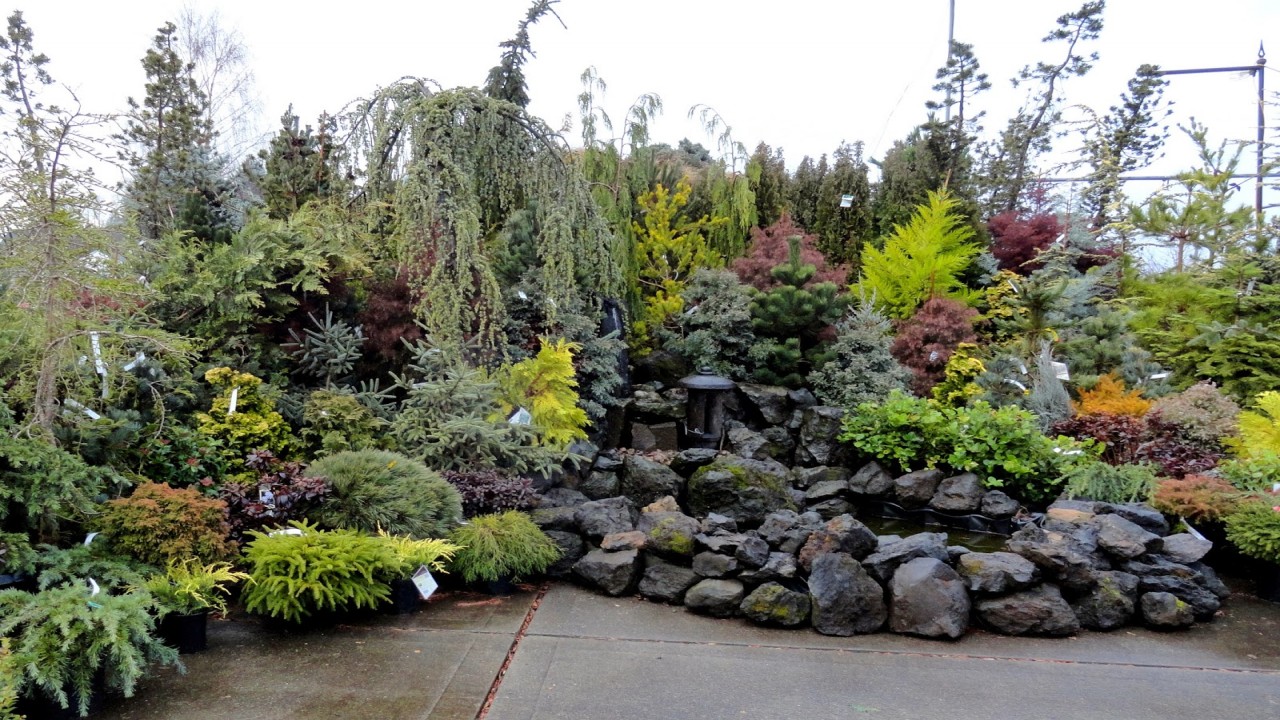 Garden Travels: Organic Williamsburg and Unusual Nursery