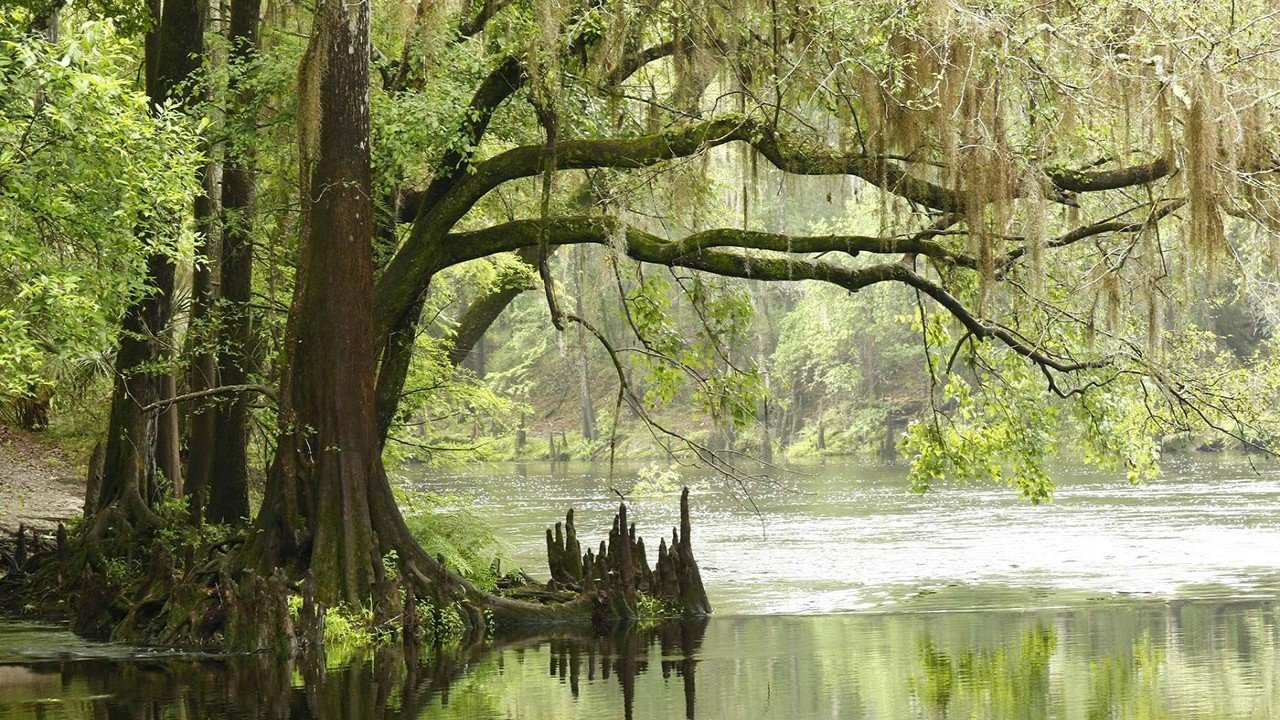 Cities of the World Florida USA
