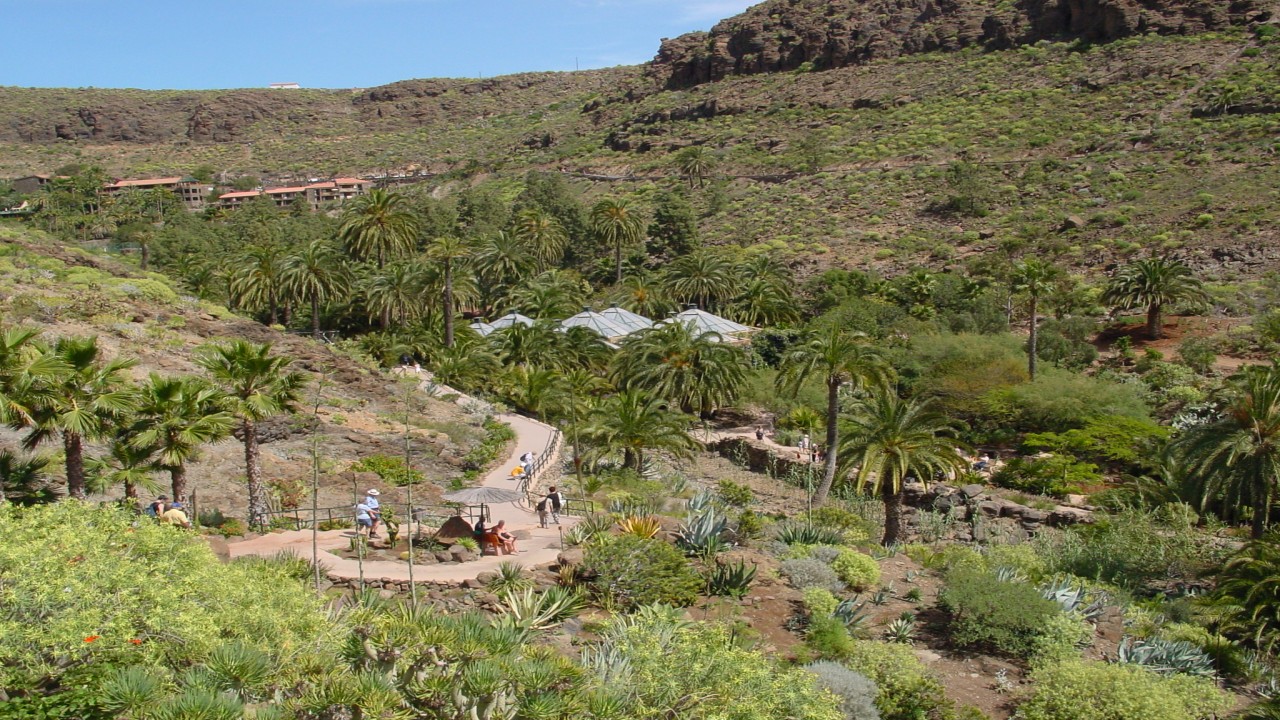 Cities of the World Gran Canaria Spain