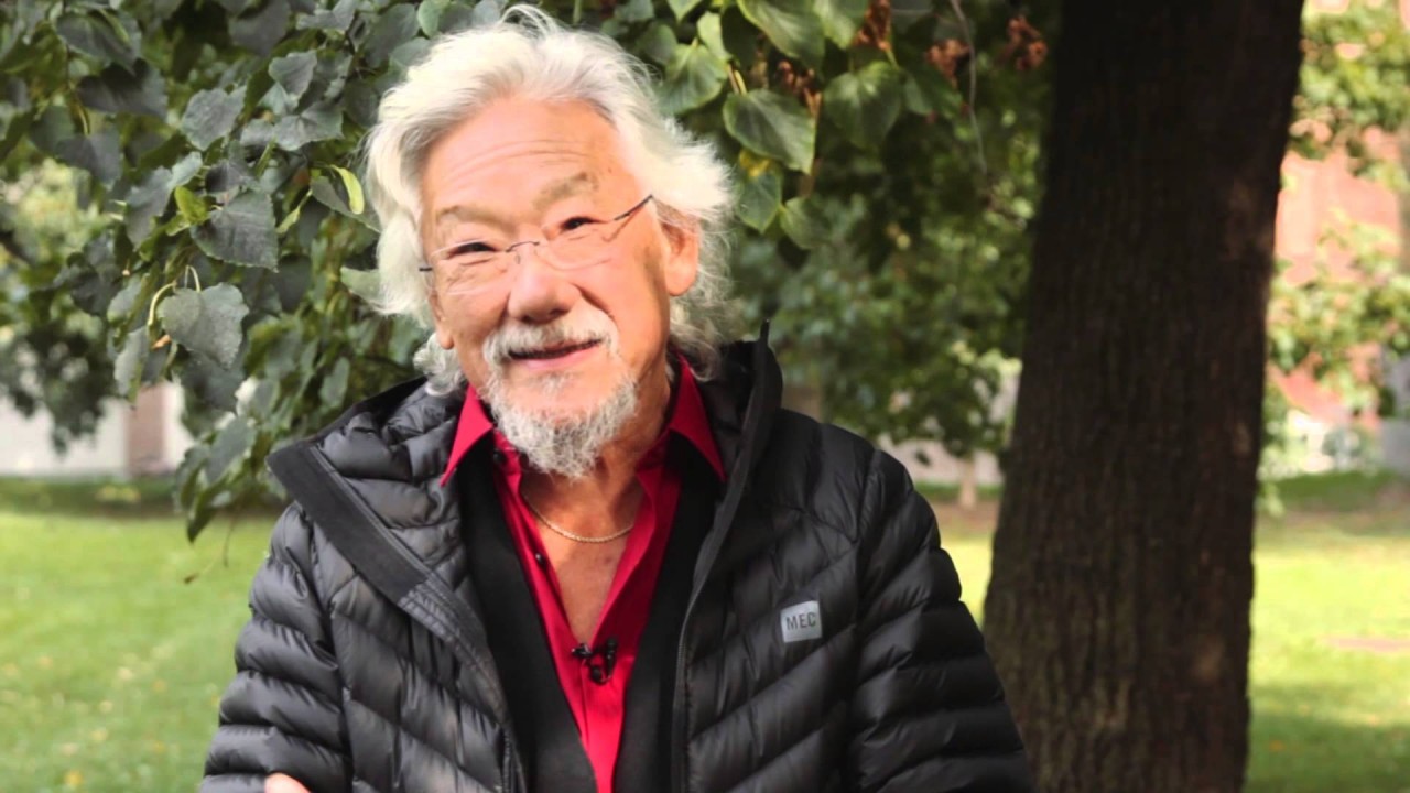 Nature Connection With David Suzuki: Urban Ecology