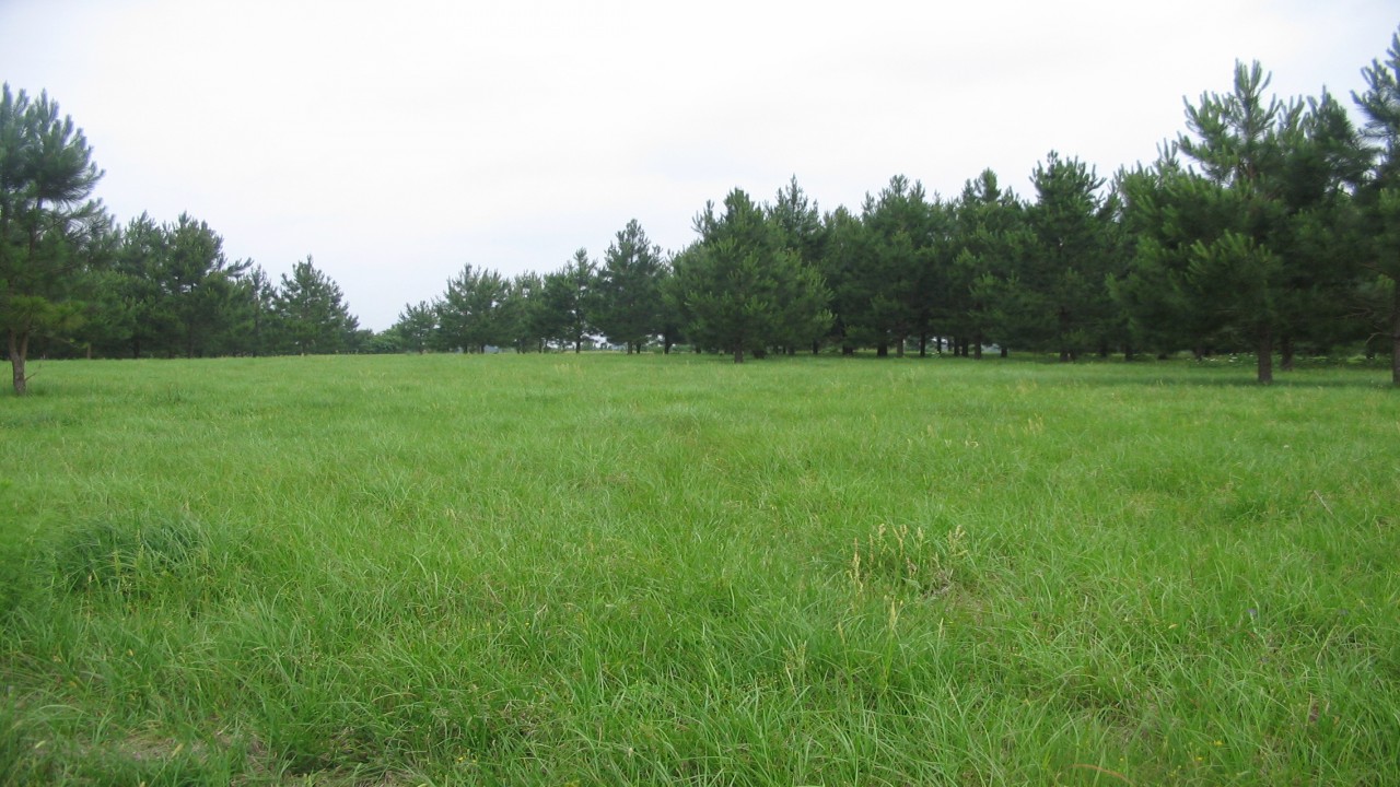 ESOVISION Relaxation PASTURELAND