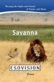 ESOVISION Relaxation SAVANNA