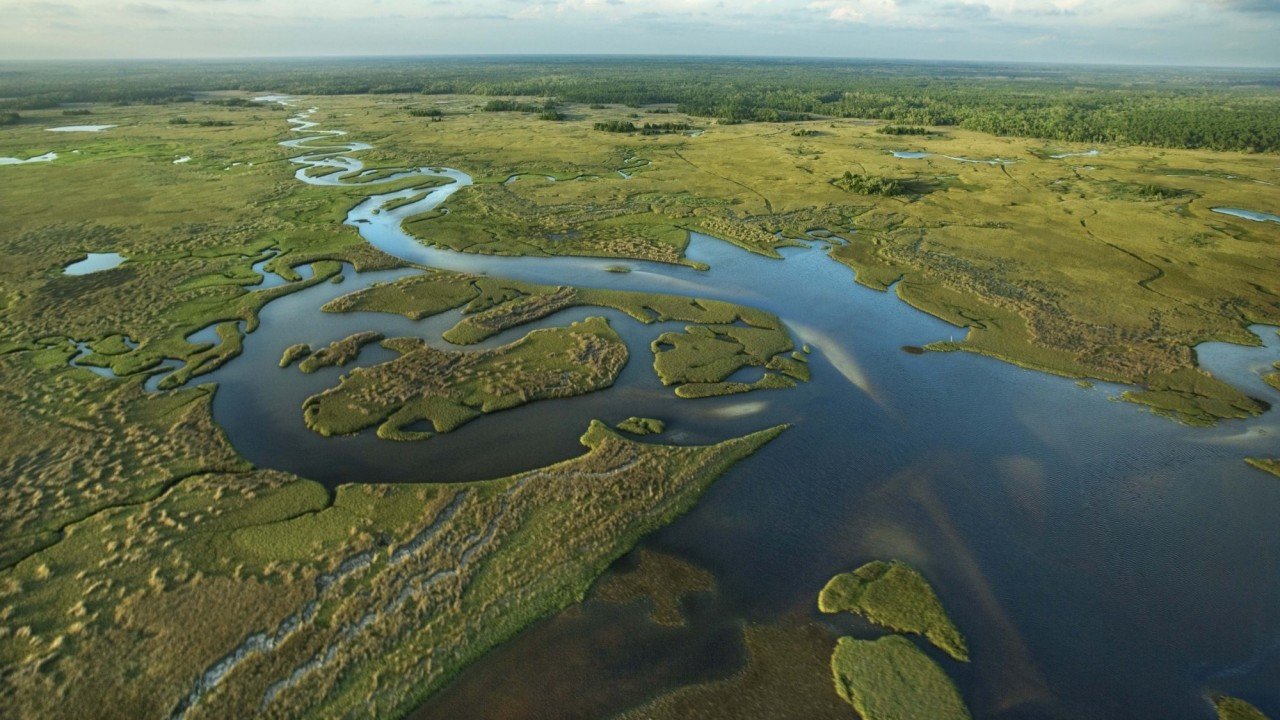 ESOVISION Relaxation EVERGLADES