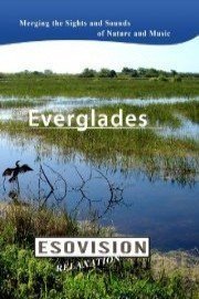 ESOVISION Relaxation EVERGLADES