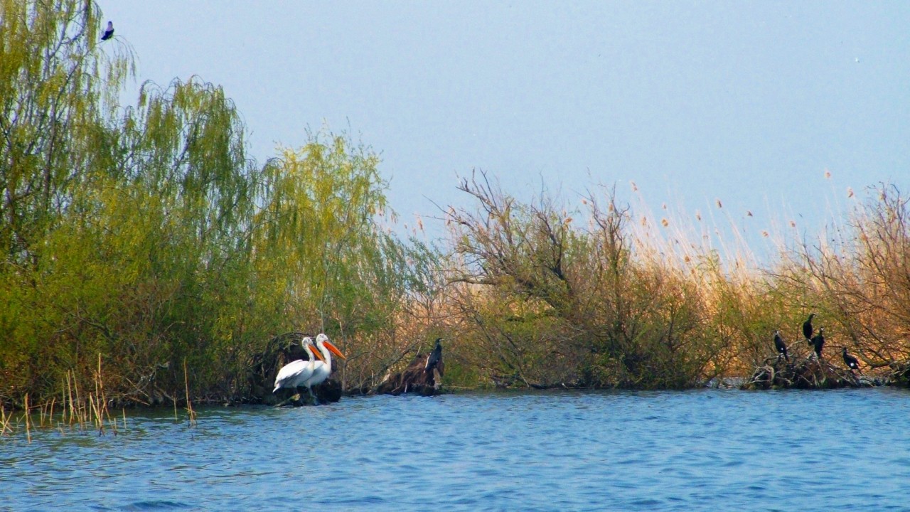 Nature Wonders THE DANUBE DELTA Romania
