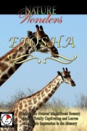 Nature Wonders ETOSHA Namibia