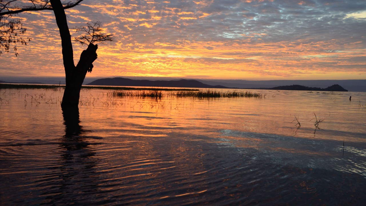 Nature Wonders LAKE BARINGO Kenya