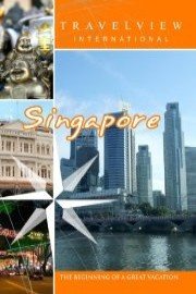 Travelview International Singapore