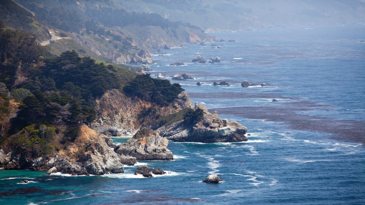 Living Landscapes The Pacific Coast