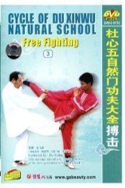 Free Fighting