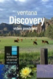 Ventana: Discovery