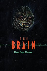 The Brain