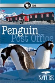 Nature: Penguin Post Office