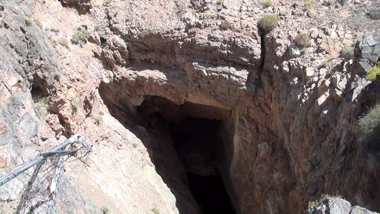 Death Valley: Desert Biome Survival