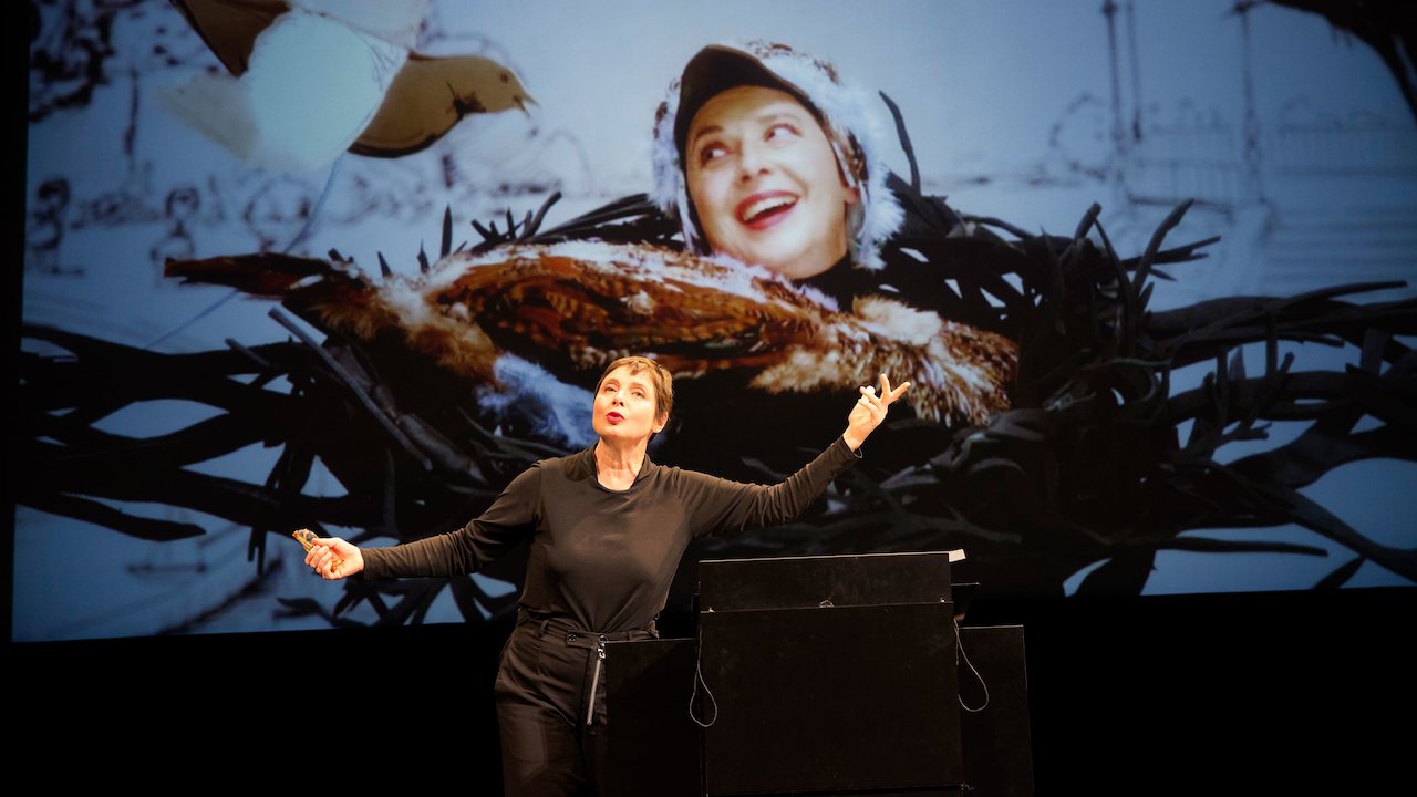 Isabella Rossellini's Green Porno Live!