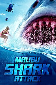 Malibu Shark Attack