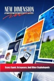 Scary Squid, Octopuses, And Other Cephalopods