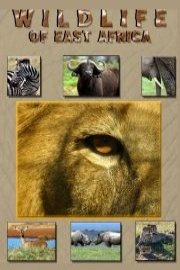 Wildlife of East Africa