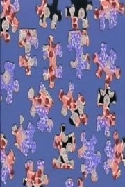 The Puzzle of HIV