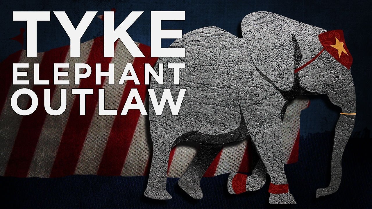 Tyke: Elephant Outlaw