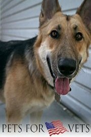 Pets for Vets