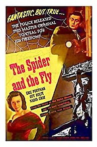 The Spider And The Fly