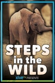Steps in the Wild