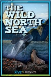 The Wild North Sea