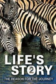Life's Story 2: The Reason for then Journey