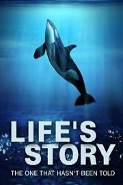 Life's Story: The One That Hasn't Been Told