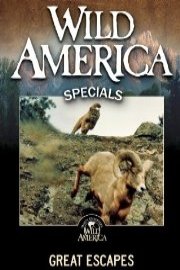 Wild America: Great Escapes