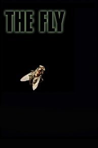 The Fly