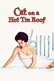 Cat on a Hot Tin Roof