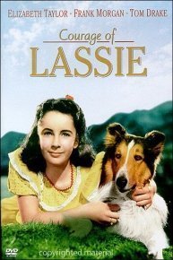 Courage of Lassie