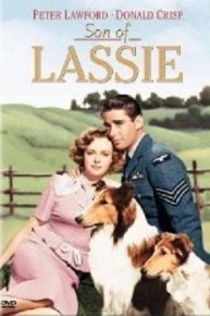 Son of Lassie