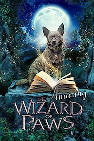 The Amazing Wizard of Paws