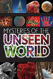 Mysteries of the Unseen World