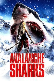 Avalanche Sharks