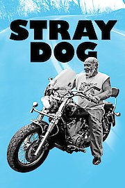 Stray Dog