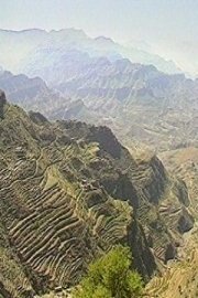 The Hanging Gardens of Arabia