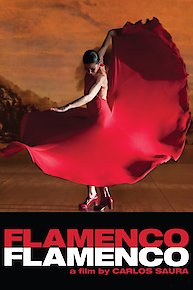 Flamenco, Flamenco