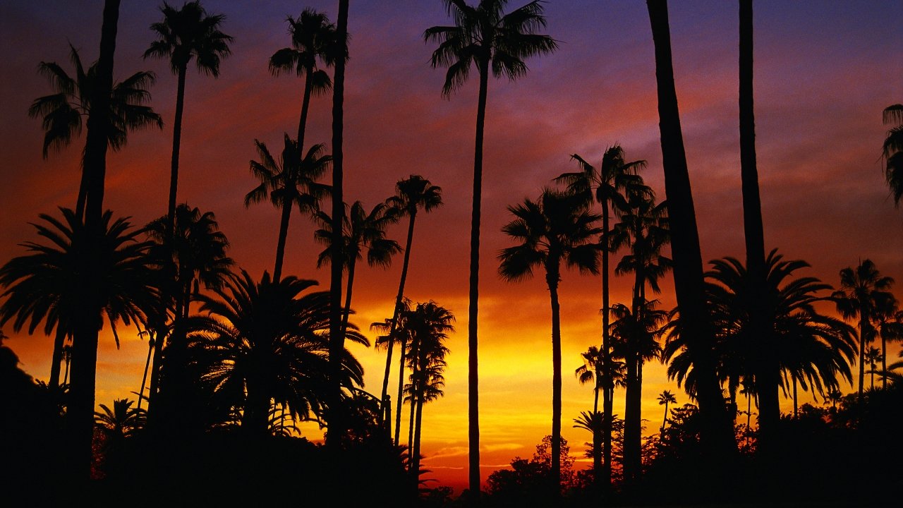 Cities of the world California